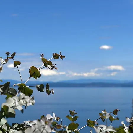 Near The Beach, With Terraces And Seaview At House B. Moscenicka Draga