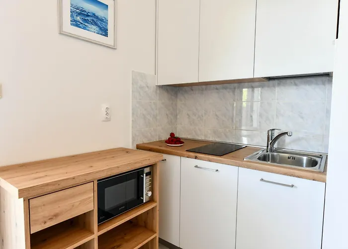 House Bucic